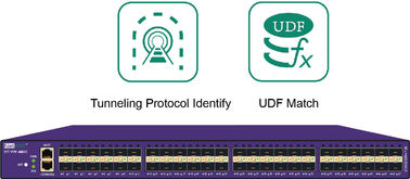 quality Il mediatore del pacchetto della rete con il protocollo di traforo identifica il RUBINETTO netto con i dati Deduplication factory